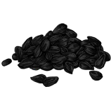 Jintan Hitam